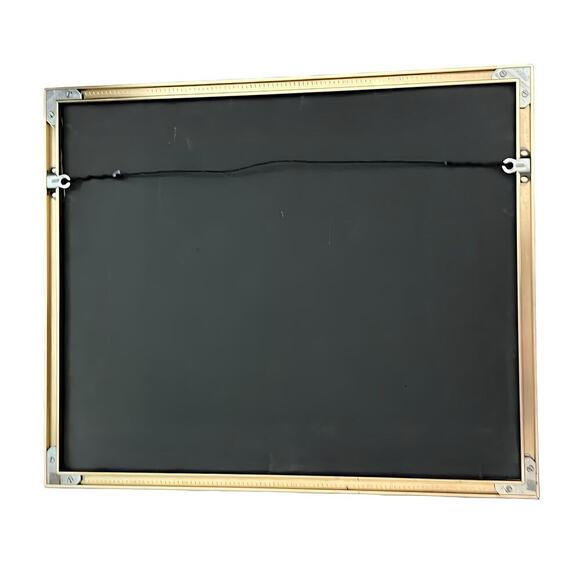 Looney Tunes Road Runner Wile E. Coyote Limited Edition Animation Cel Art Rare - Picture 5 of 11